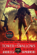 The Tower of Swallows (The Witcher, #4)