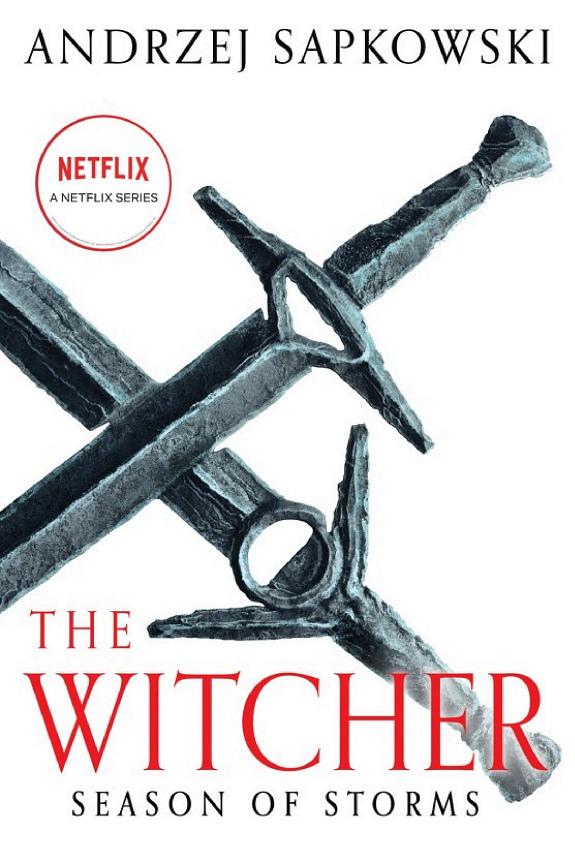 Season of Storms (The Witcher, #8)
